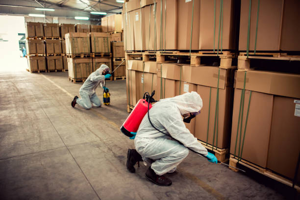 Trusted Cheval, FL Pest Control Experts