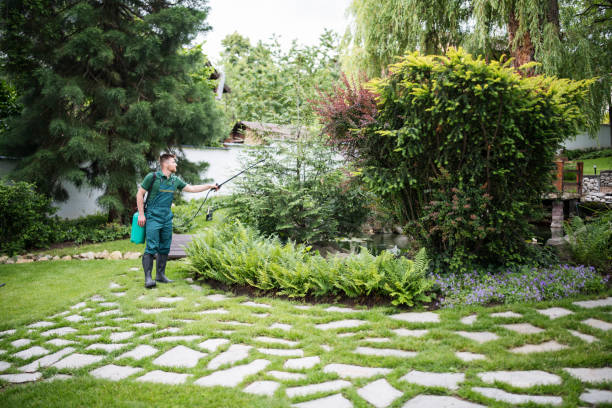 Best Pest Removal Services  in Cheval, FL