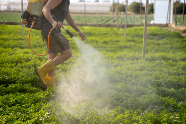 Best Emergency Pest Control  in Cheval, FL